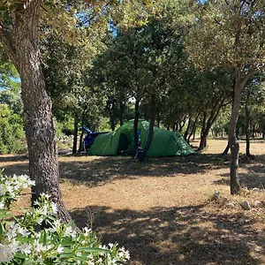 Campsite Sugar, Mandre